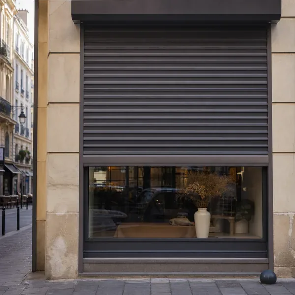 Store et rideau métallique - Athis-Mons